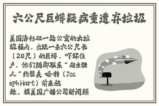 adc影库网站